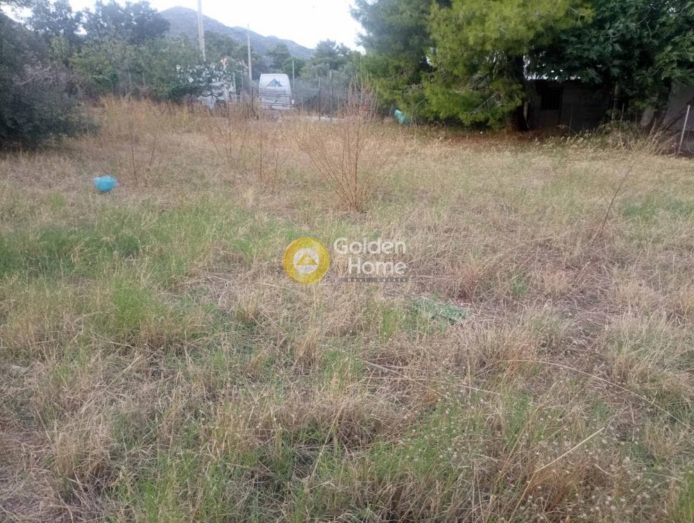 Οικόπεδο στην Νέο Λιβύσσι, Νέα Μάκρη — Φωτογραφία 2 από 3