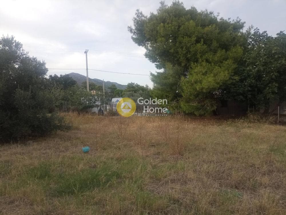 Οικόπεδο στην Νέο Λιβύσσι, Νέα Μάκρη — Φωτογραφία 3 από 3