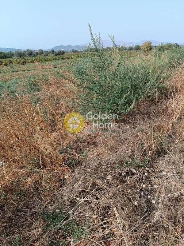 Αγροτεμάχιο στην Λεωφ. Βάρης Κορωπίου, Κορωπί — Φωτογραφία 2 από 3