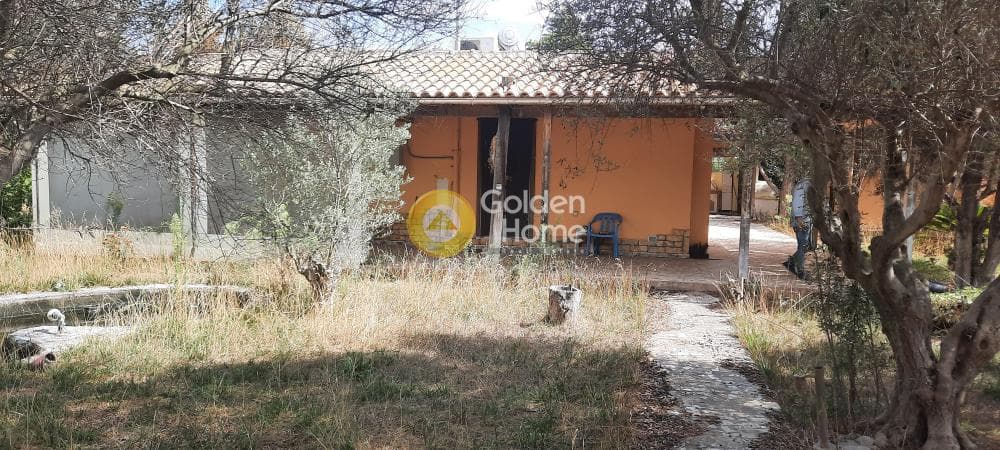 Μονοκατοικία στην Αγία Τριάδα, Μαρκόπουλο — Φωτογραφία 11 από 21