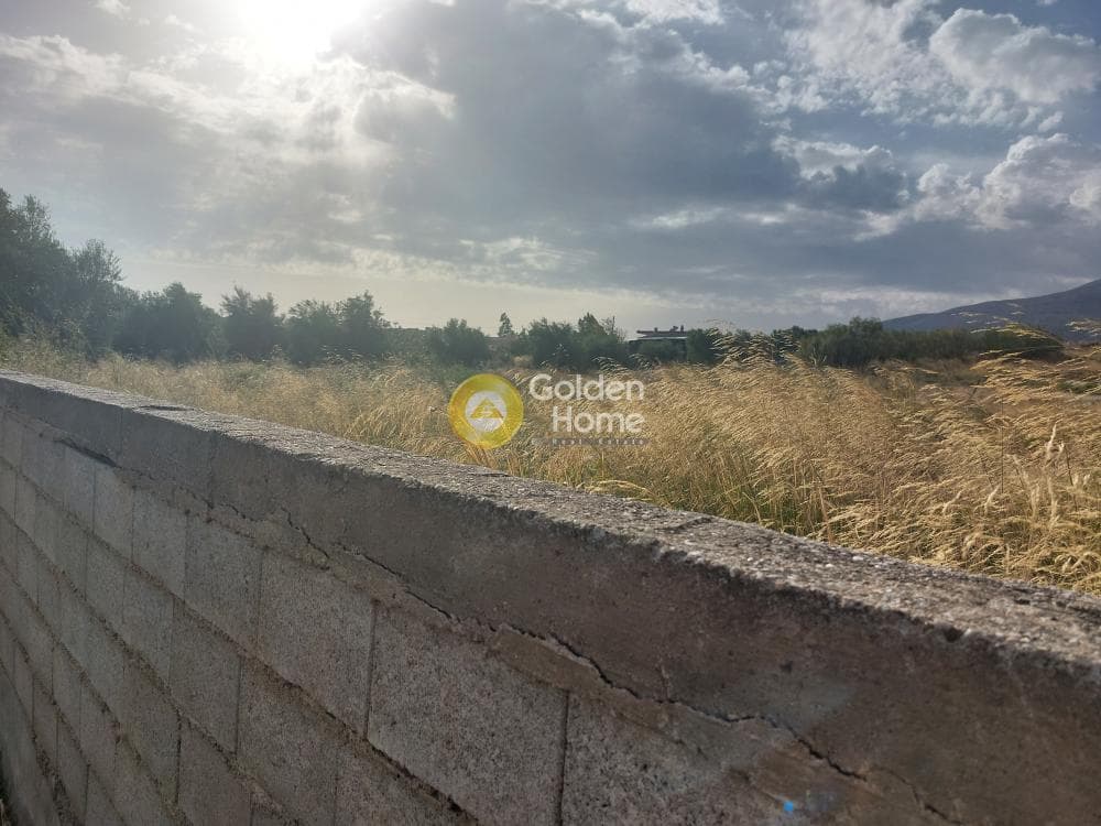 Αγροτεμάχιο στην Μητροπήσι, Κερατέα
