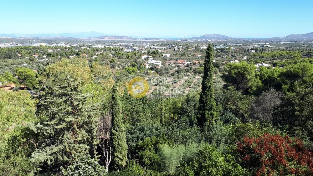 Μονοκατοικία στην Κέντρο, Κορωπί — Φωτογραφία 25 από 33