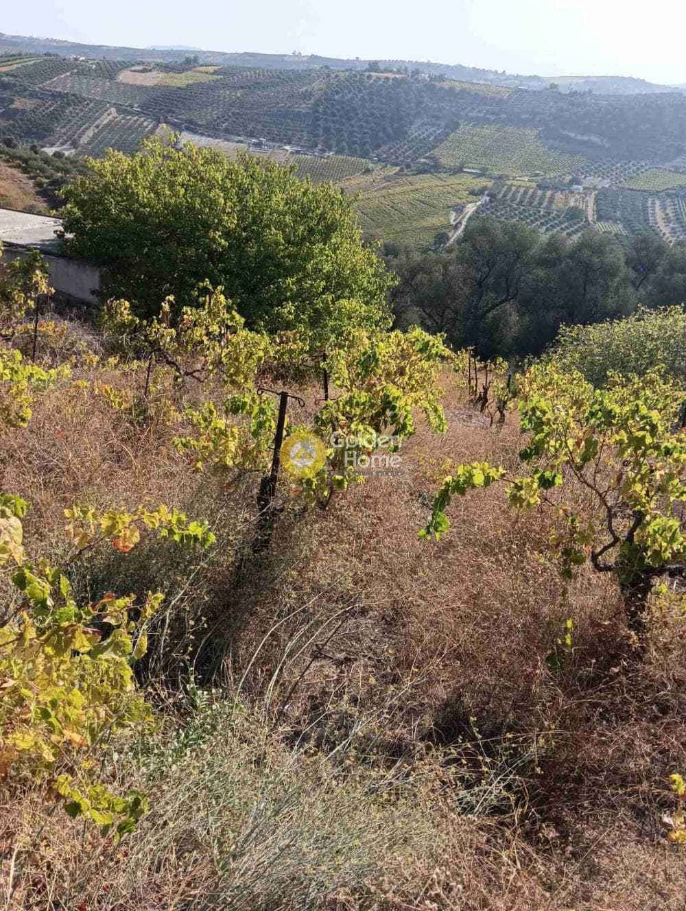 Οικόπεδο στην Βούτες, Τέμενος — Φωτογραφία 3 από 6
