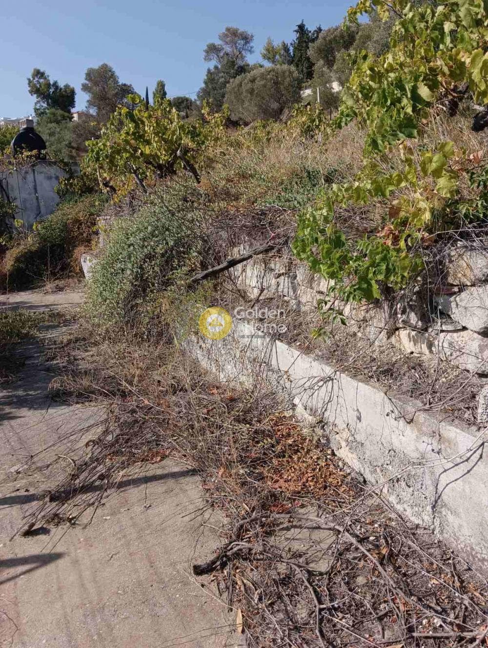 Οικόπεδο στην Βούτες, Τέμενος — Φωτογραφία 2 από 6