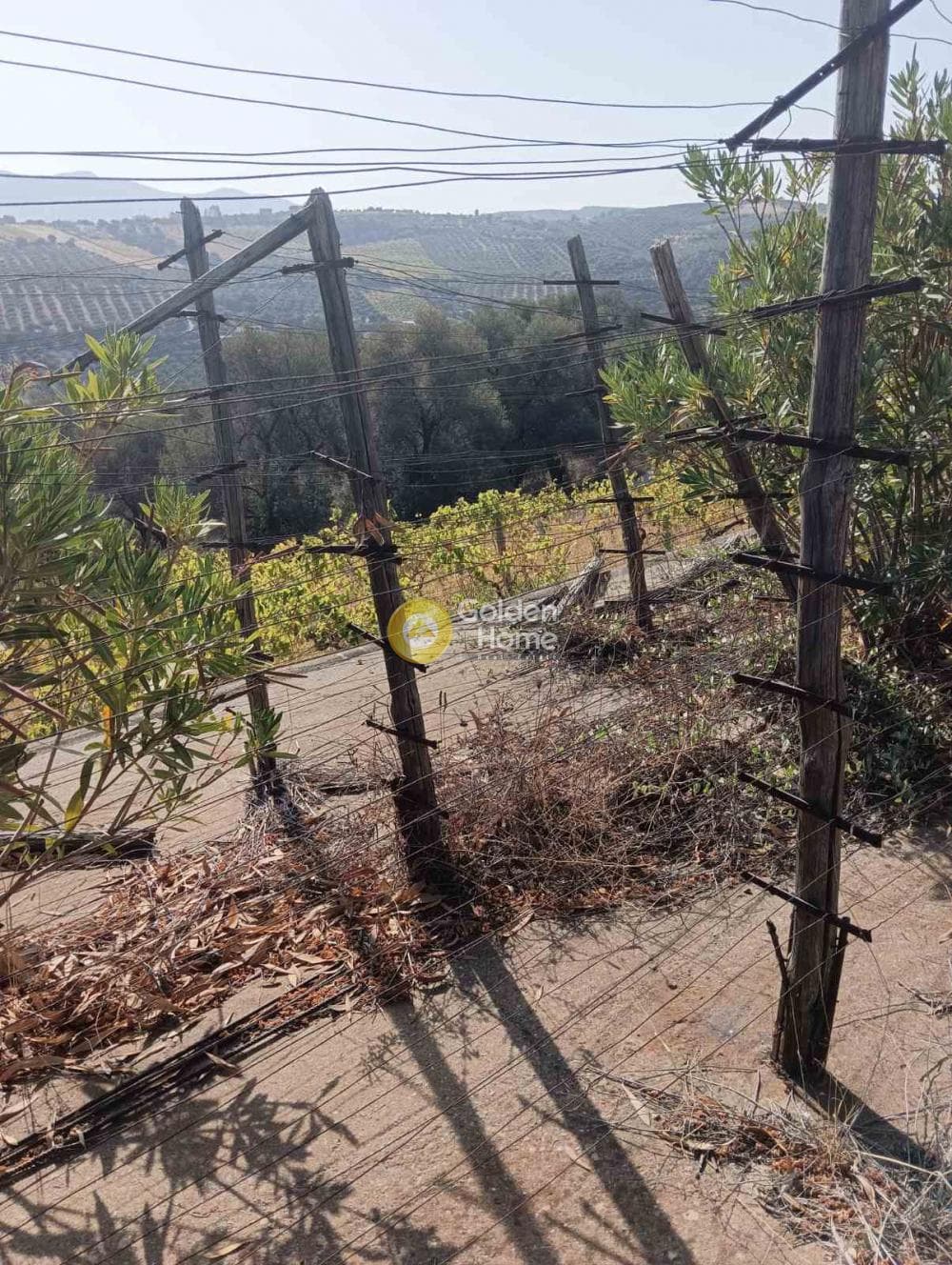 Οικόπεδο στην Βούτες, Τέμενος — Φωτογραφία 1 από 6