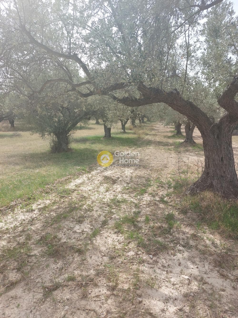Parcel in Rountzeri Lemprou, Keratea