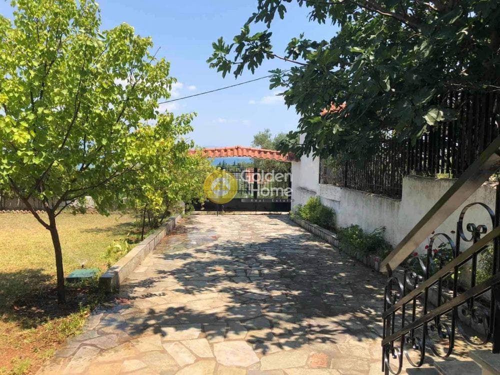 Μονοκατοικία στην Παραλία Αυλίδας, Τανάγρα — Φωτογραφία 8 από 12