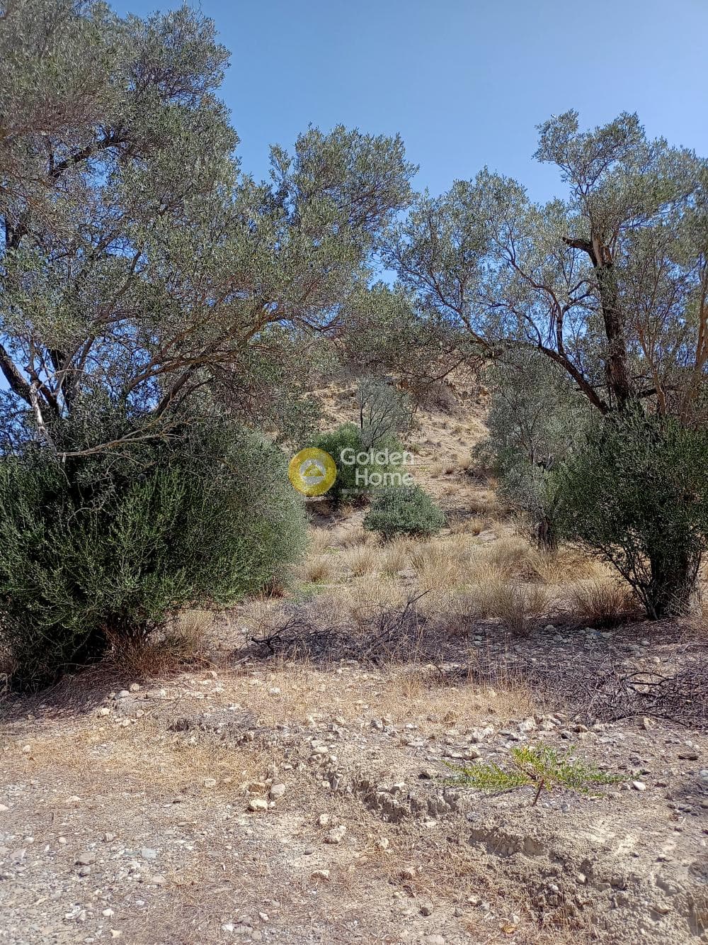 Parcel in Kokkinos Pirgos, Timpaki — Photo 1 of 2