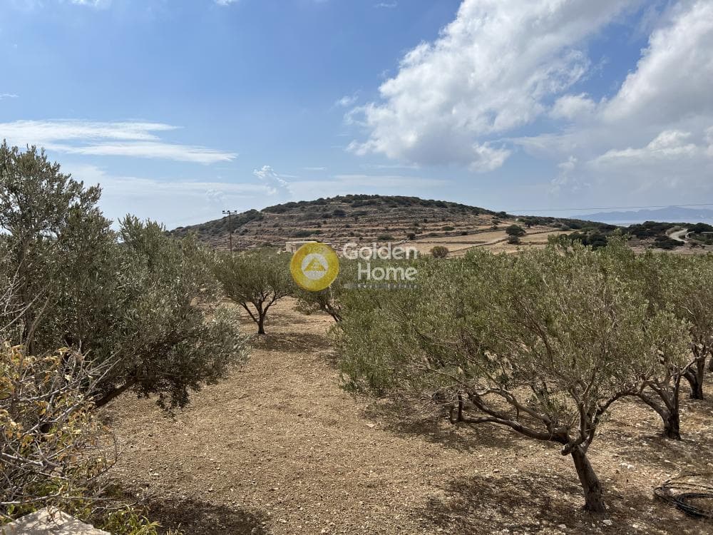Parcel in Aliki, Paros — Photo 4 of 7