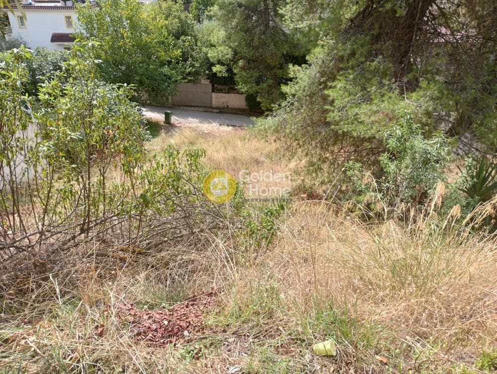 Building Plot in Agia Paraksevi, Anoixi — Photo 4 of 8