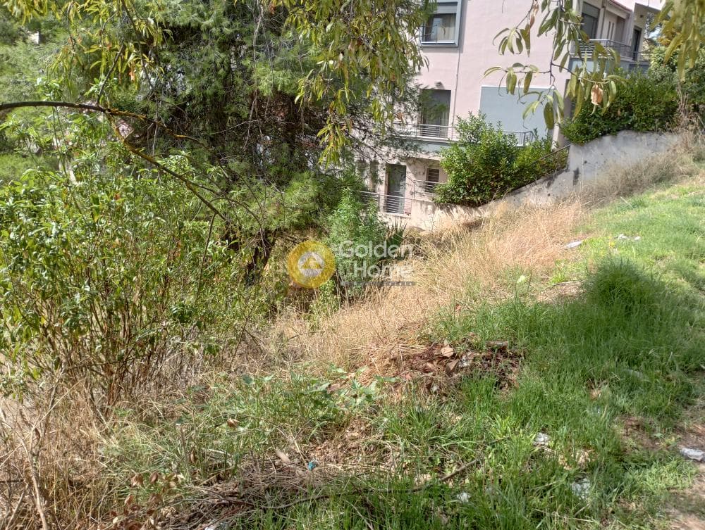 Building Plot in Agia Paraksevi, Anoixi — Photo 5 of 8