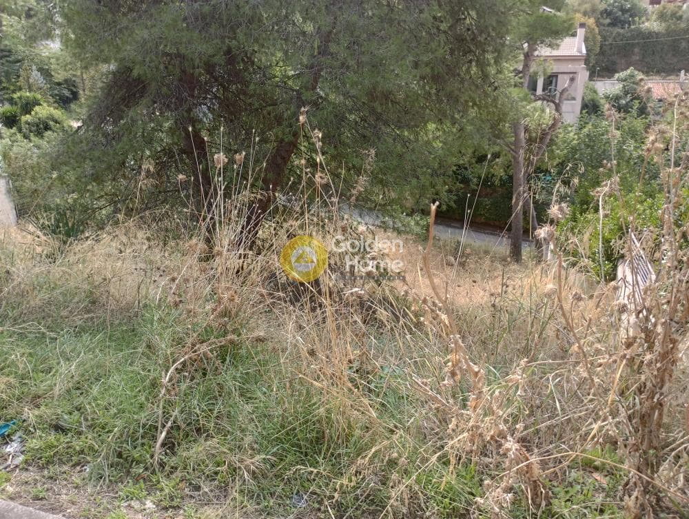 Building Plot in Agia Paraksevi, Anoixi — Photo 6 of 8