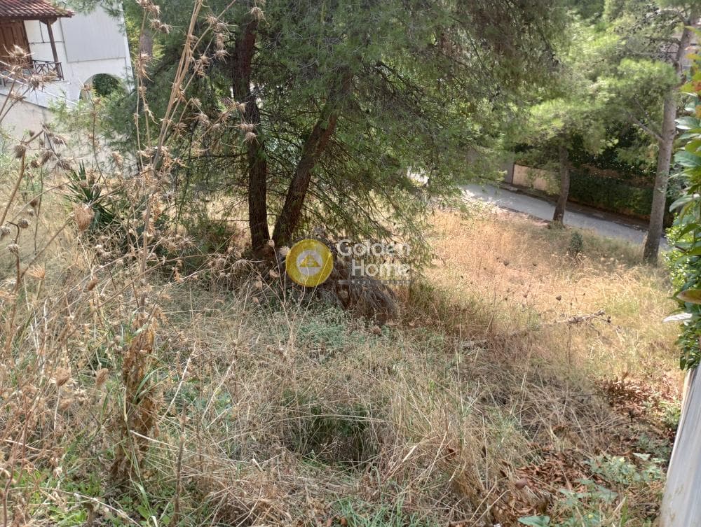 Building Plot in Agia Paraksevi, Anoixi — Photo 1 of 8