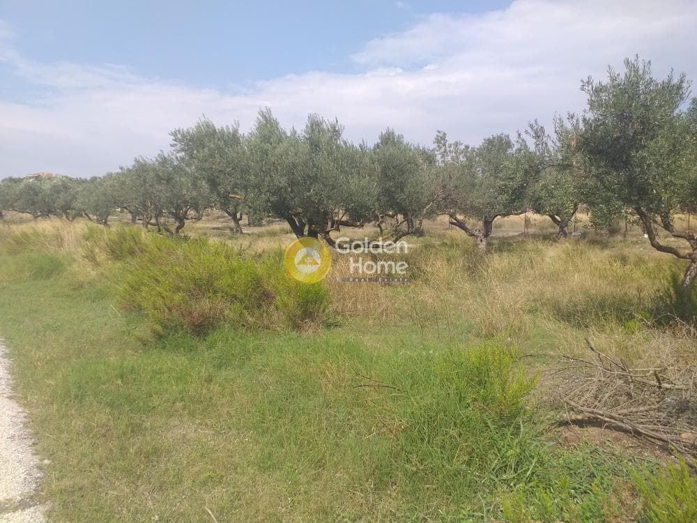 Building Plot in Center, Markopoulo — Photo 1 of 5