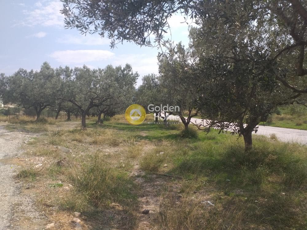 Building Plot in Center, Markopoulo — Photo 3 of 5