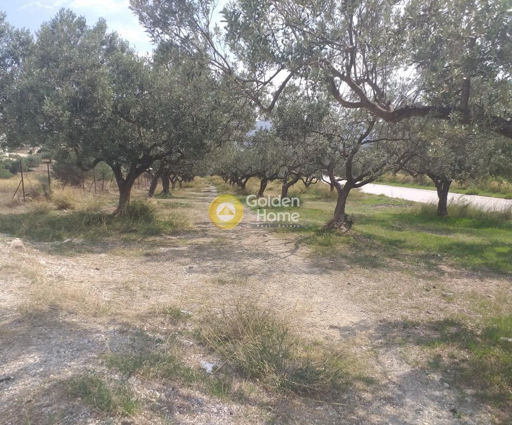 Building Plot in Center, Markopoulo — Photo 4 of 5