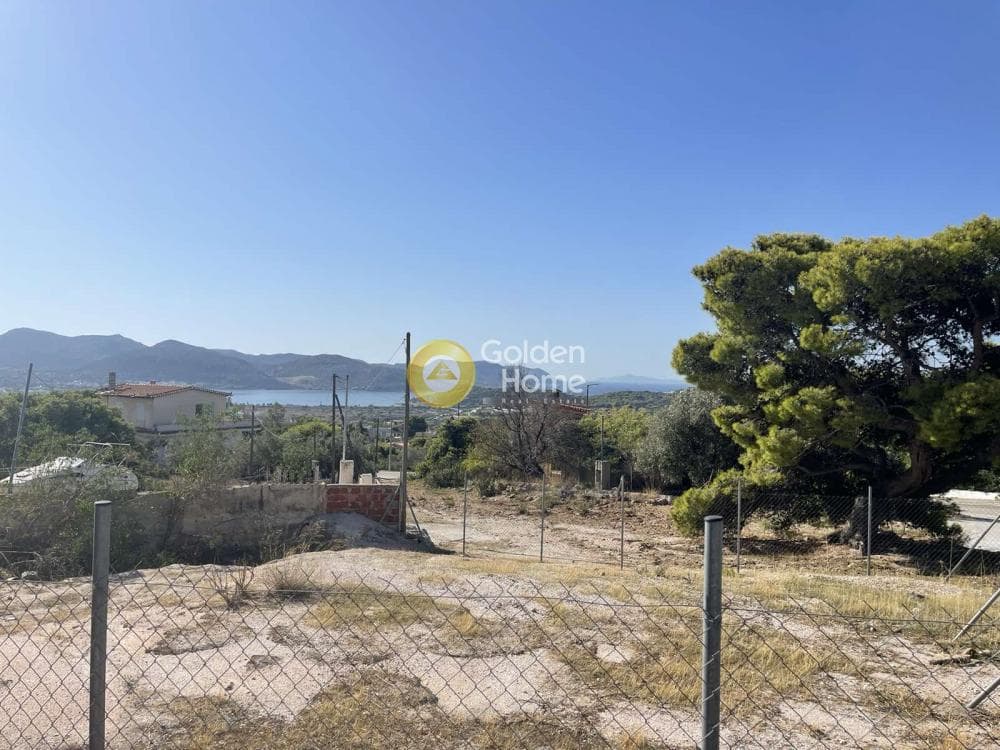 Αγροτεμάχιο στην Σαρωνίδα, Σαρωνίδα — Φωτογραφία 1 από 11