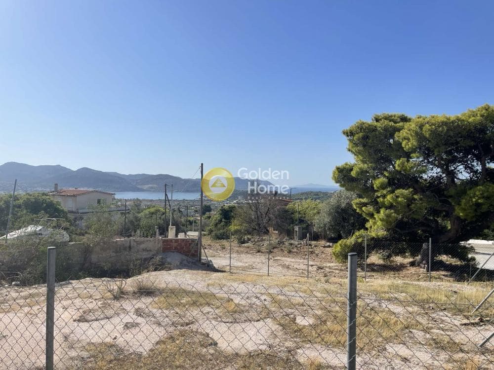 Αγροτεμάχιο στην Σαρωνίδα, Σαρωνίδα — Φωτογραφία 2 από 11