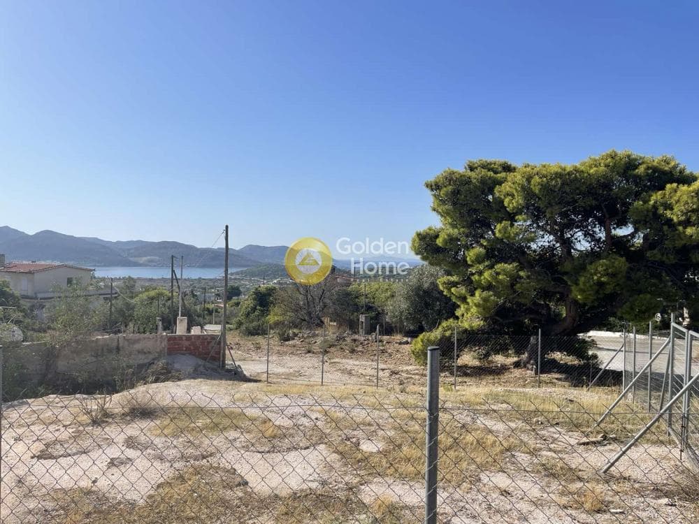 Αγροτεμάχιο στην Σαρωνίδα, Σαρωνίδα — Φωτογραφία 11 από 11