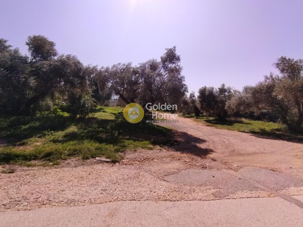 Αγροτεμάχιο στην Όριο Βριλησσίων, Μαρούσι — Φωτογραφία 2 από 4