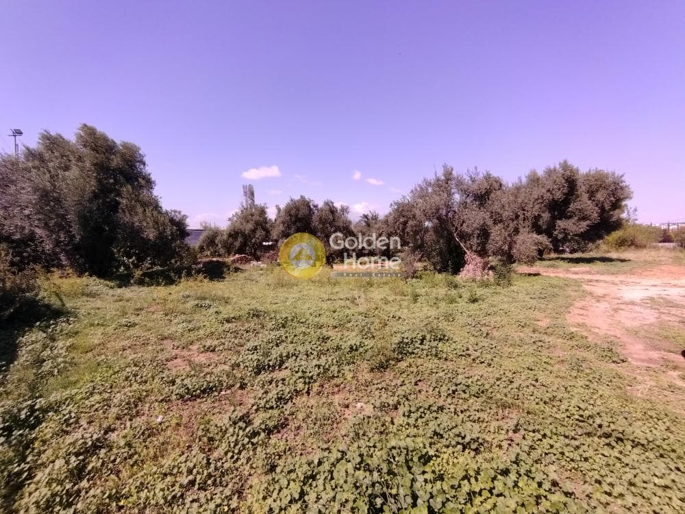 Αγροτεμάχιο στην Όριο Βριλησσίων, Μαρούσι — Φωτογραφία 1 από 4