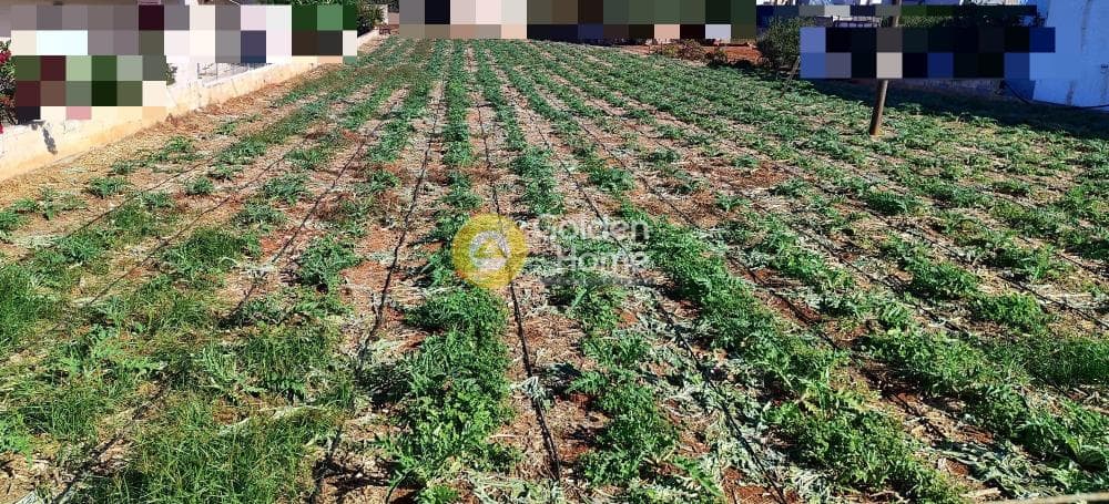 Οικόπεδο στην Χάνι Κοκκίνη, Γούβες