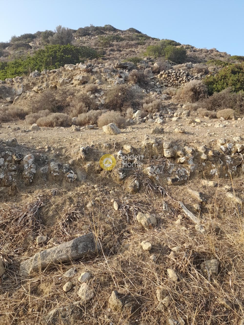 Οικόπεδο στην Πιτσίδια, Τυμπάκι — Φωτογραφία 4 από 9