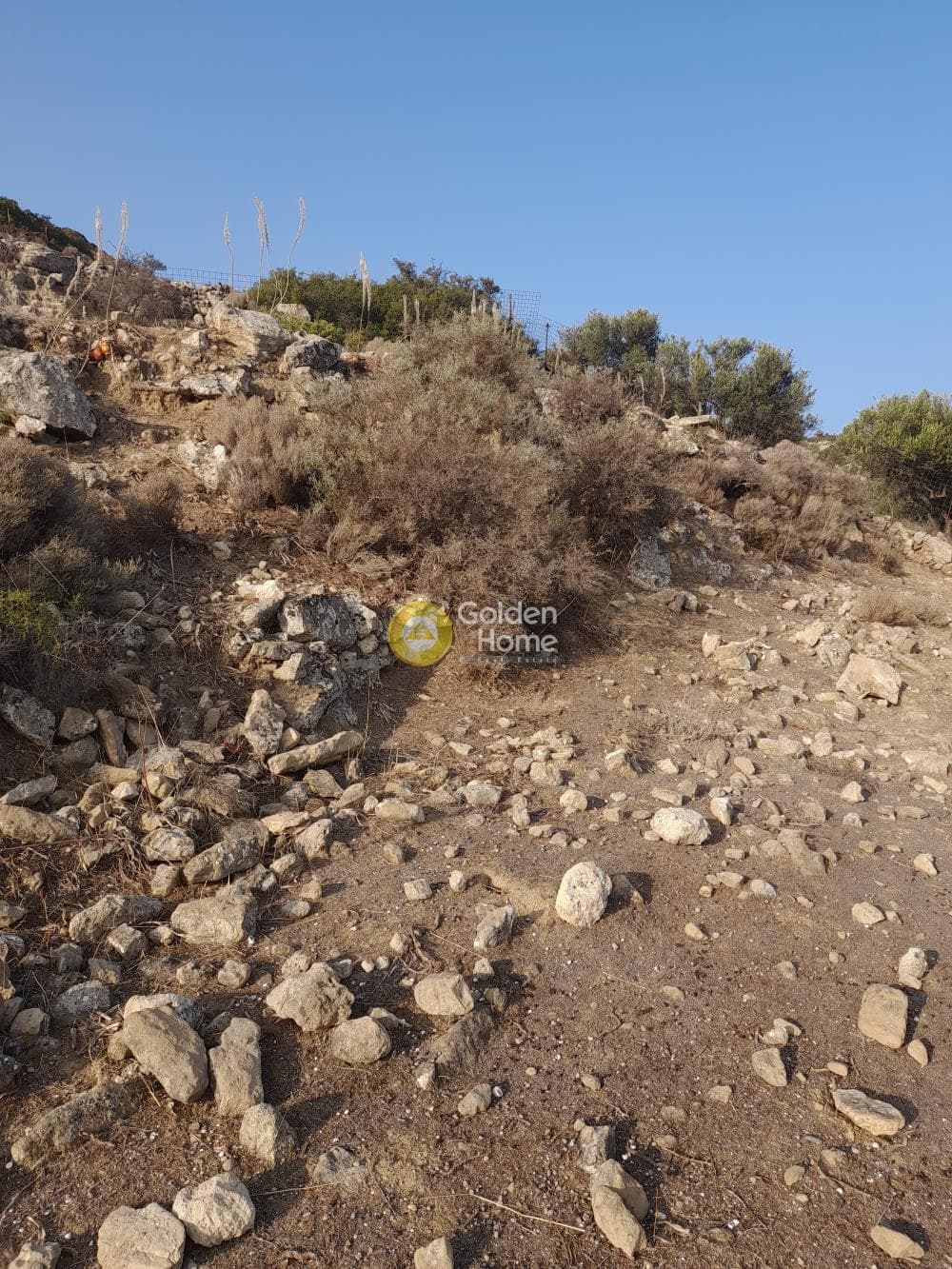 Οικόπεδο στην Πιτσίδια, Τυμπάκι — Φωτογραφία 7 από 9