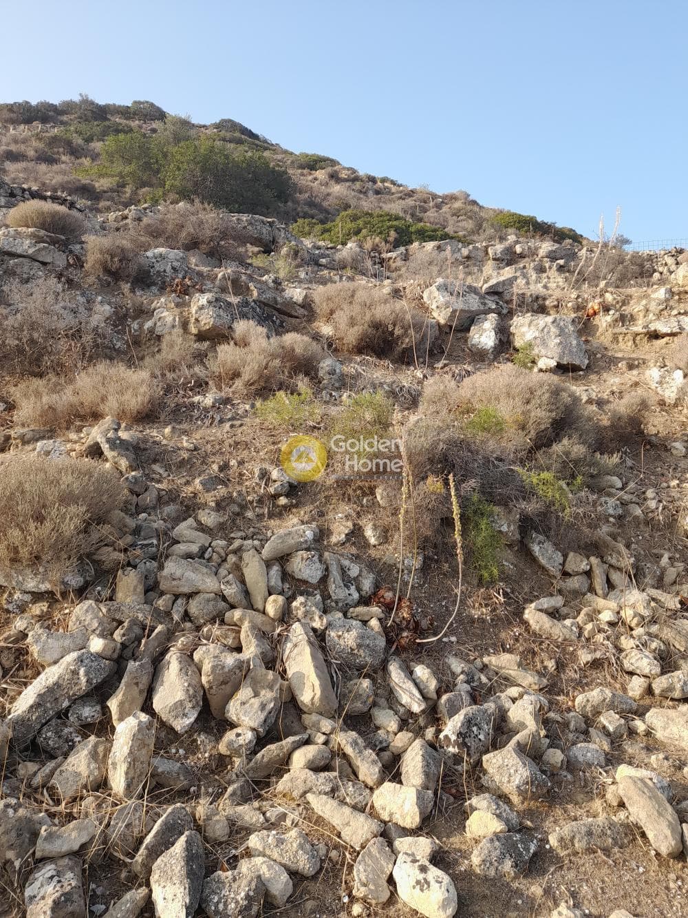 Οικόπεδο στην Πιτσίδια, Τυμπάκι — Φωτογραφία 8 από 9