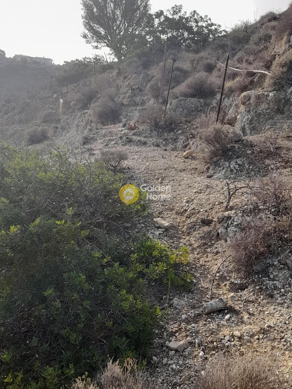 Οικόπεδο στην Πιτσίδια, Τυμπάκι — Φωτογραφία 9 από 9