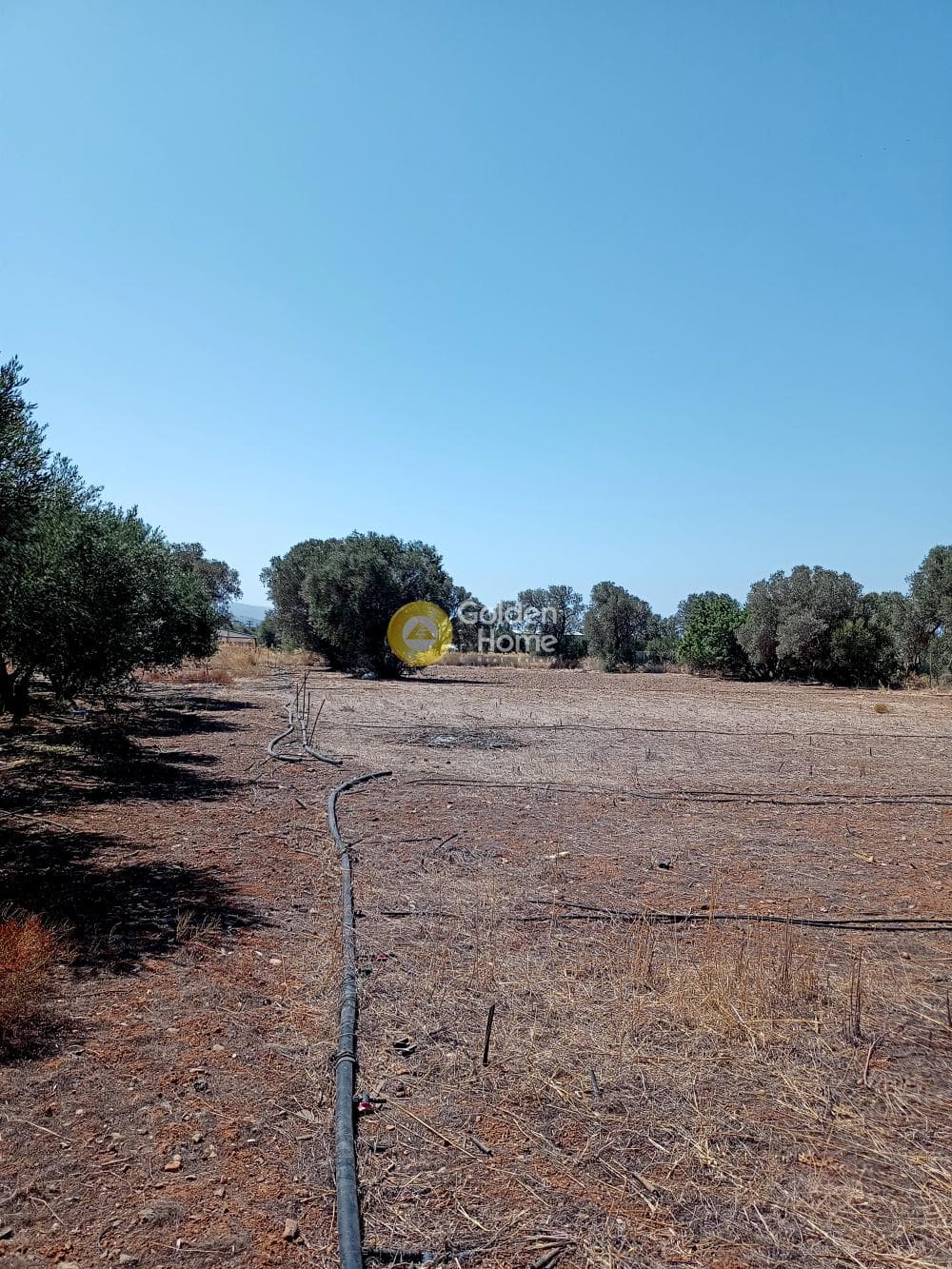 Parcel in Kokkinos Pirgos, Timpaki — Photo 1 of 4