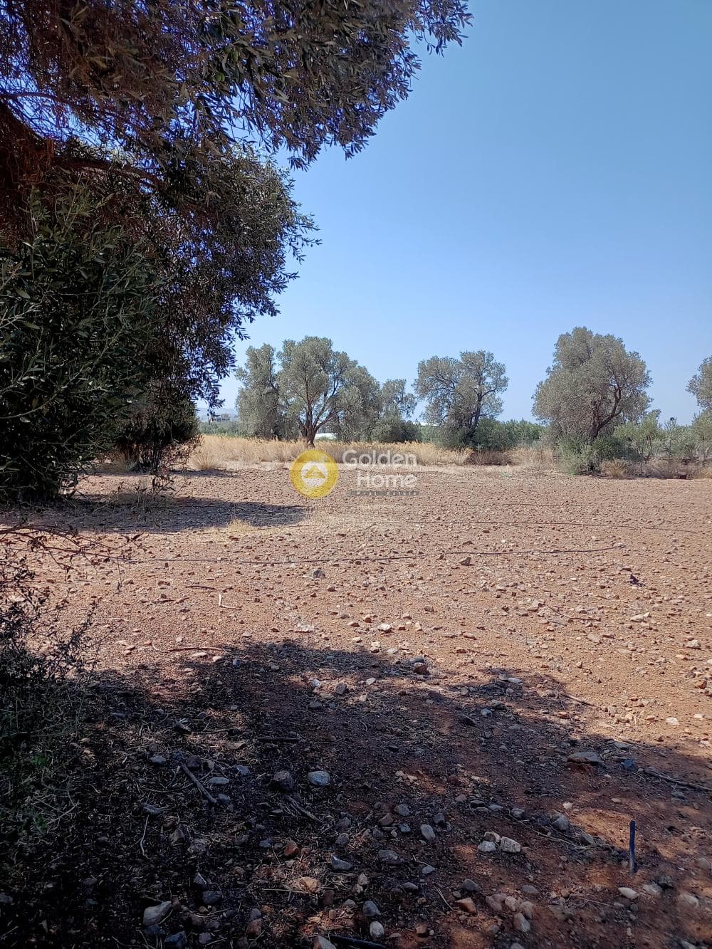 Parcel in Kokkinos Pirgos, Timpaki — Photo 2 of 4