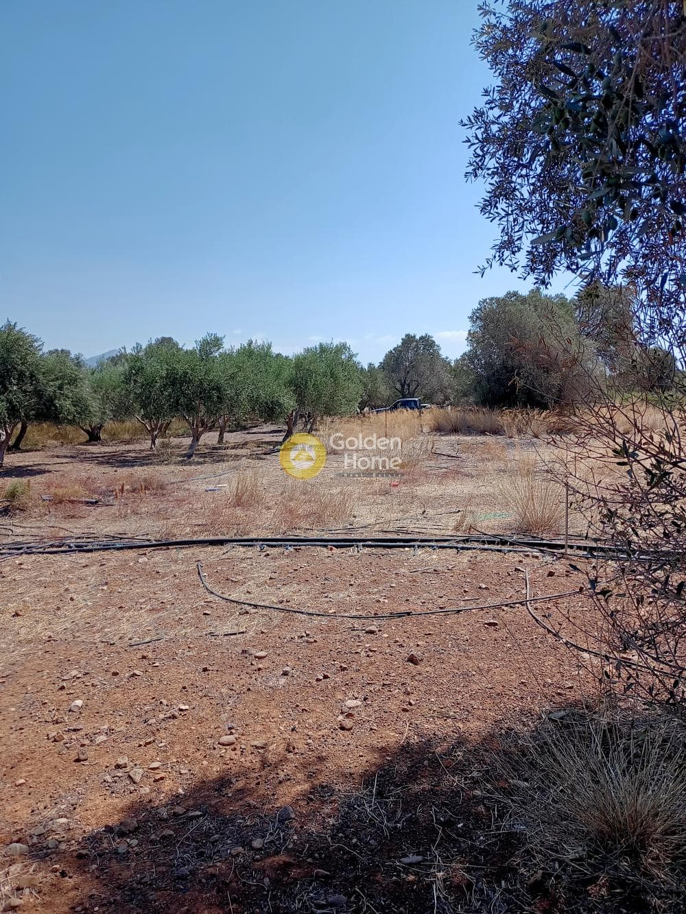 Parcel in Kokkinos Pirgos, Timpaki — Photo 3 of 4