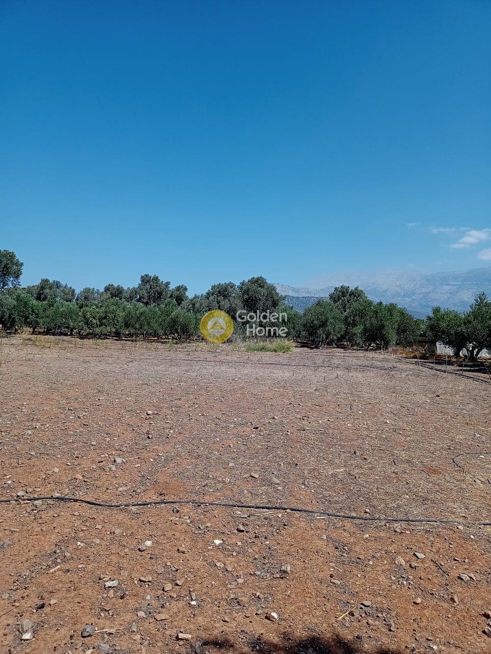Parcel in Kokkinos Pirgos, Timpaki — Photo 4 of 4