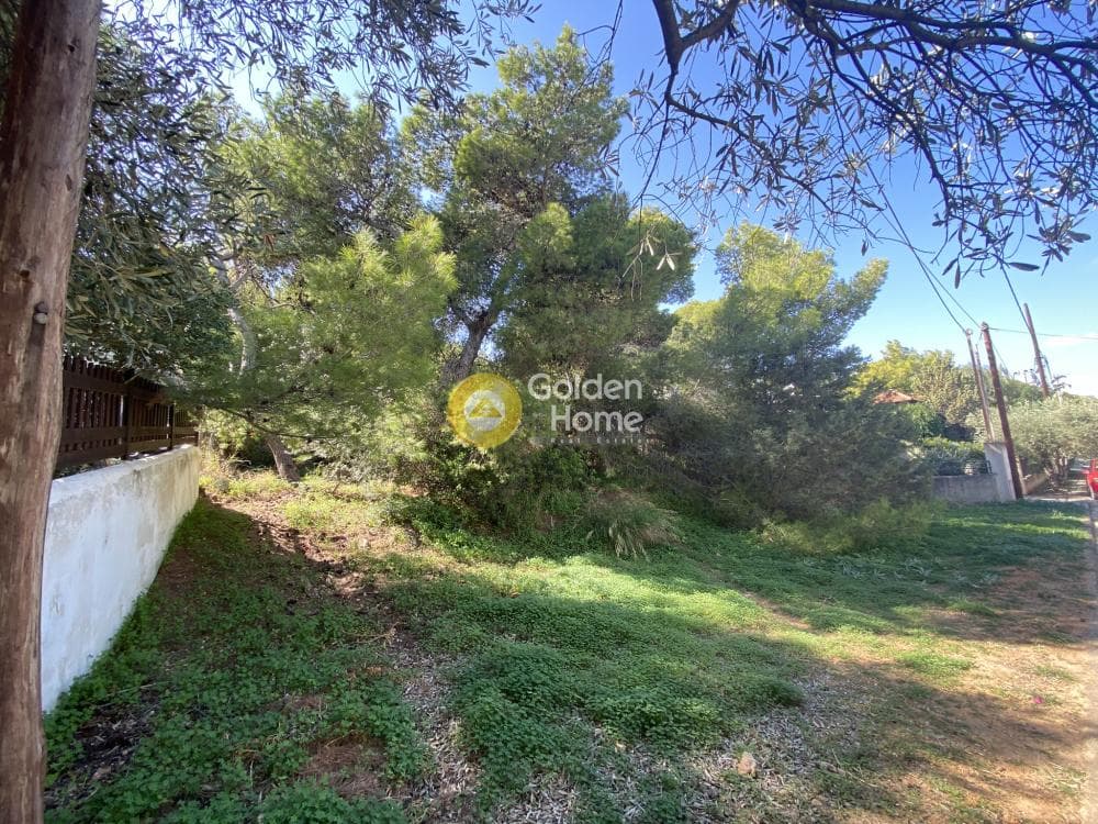 Building Plot in Chamolia, Vravrona — Photo 3 of 4