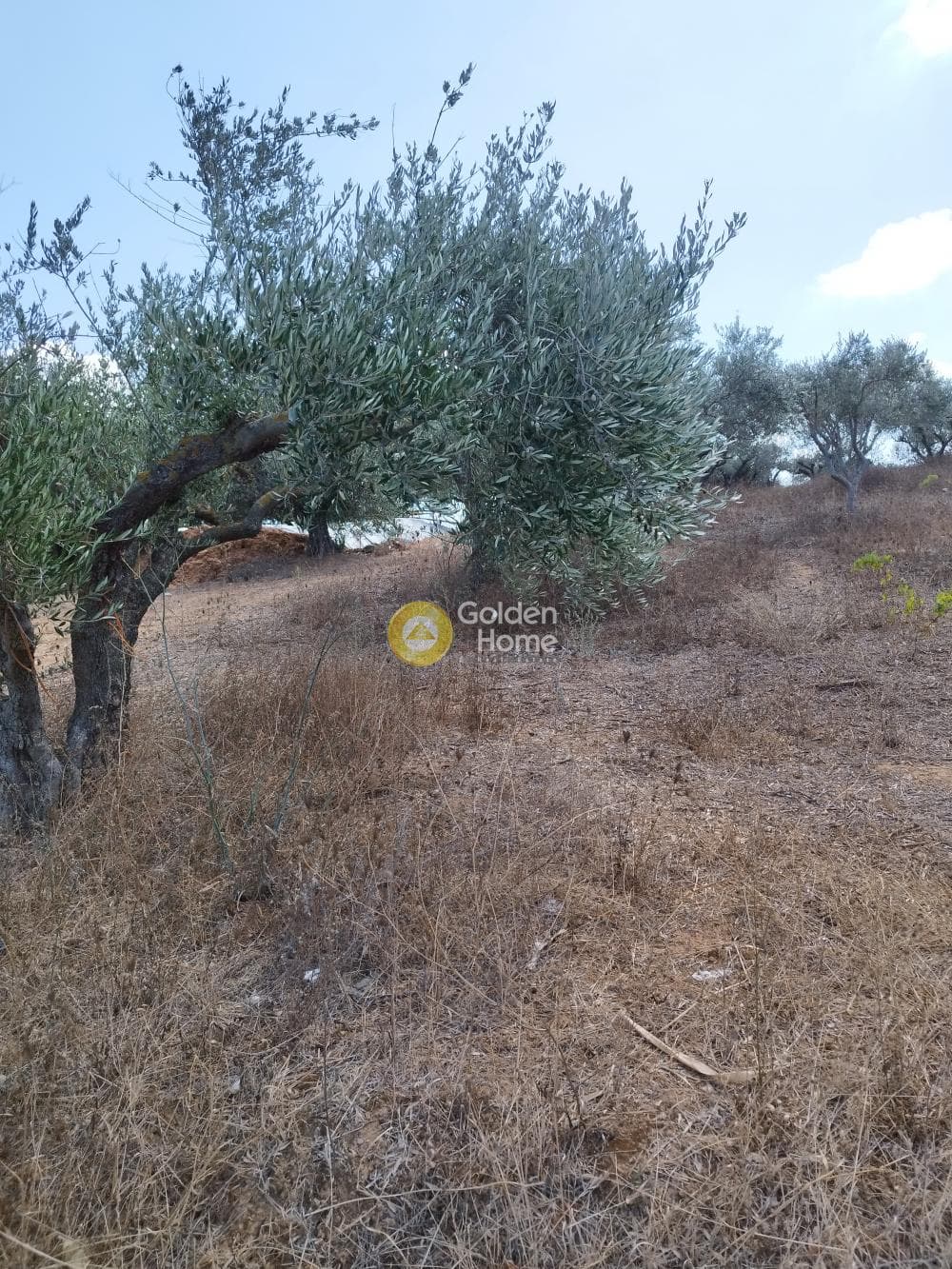 Parcel in Roussochoria, Arkalochori — Photo 1 of 3