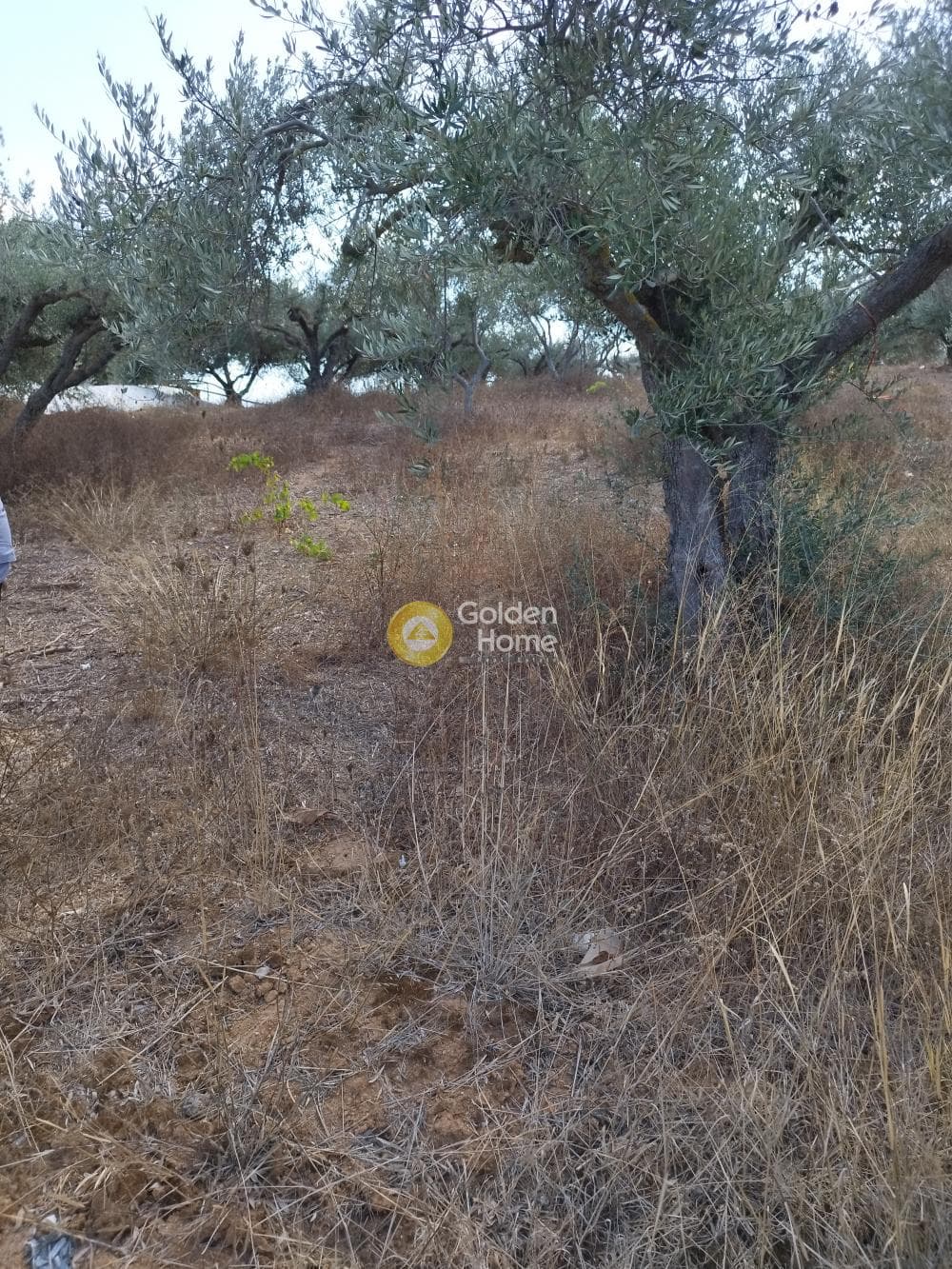 Parcel in Roussochoria, Arkalochori — Photo 3 of 3