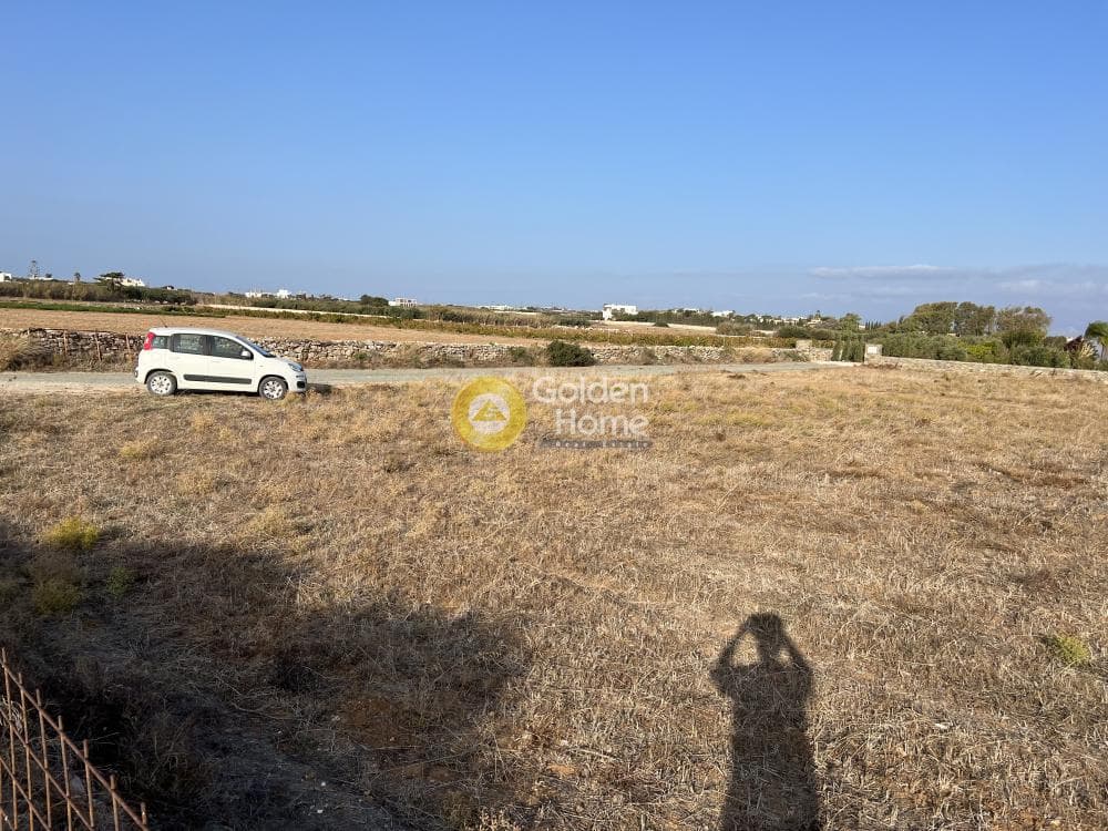 Parcel in Isterni, Paros — Photo 3 of 8