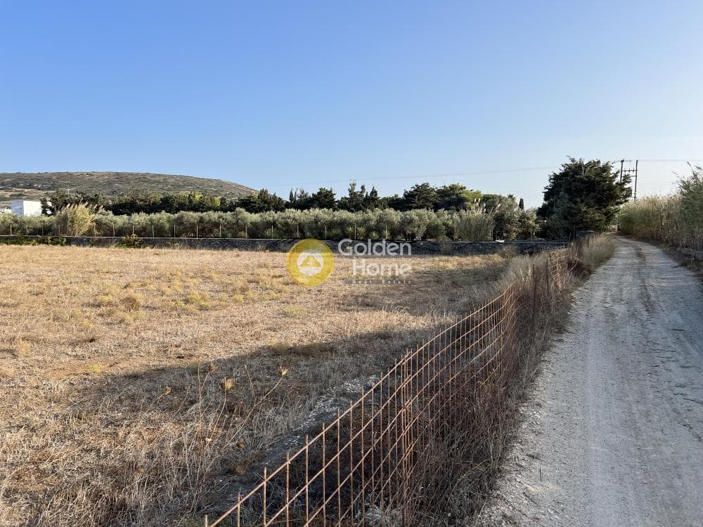 Parcel in Isterni, Paros — Photo 5 of 8