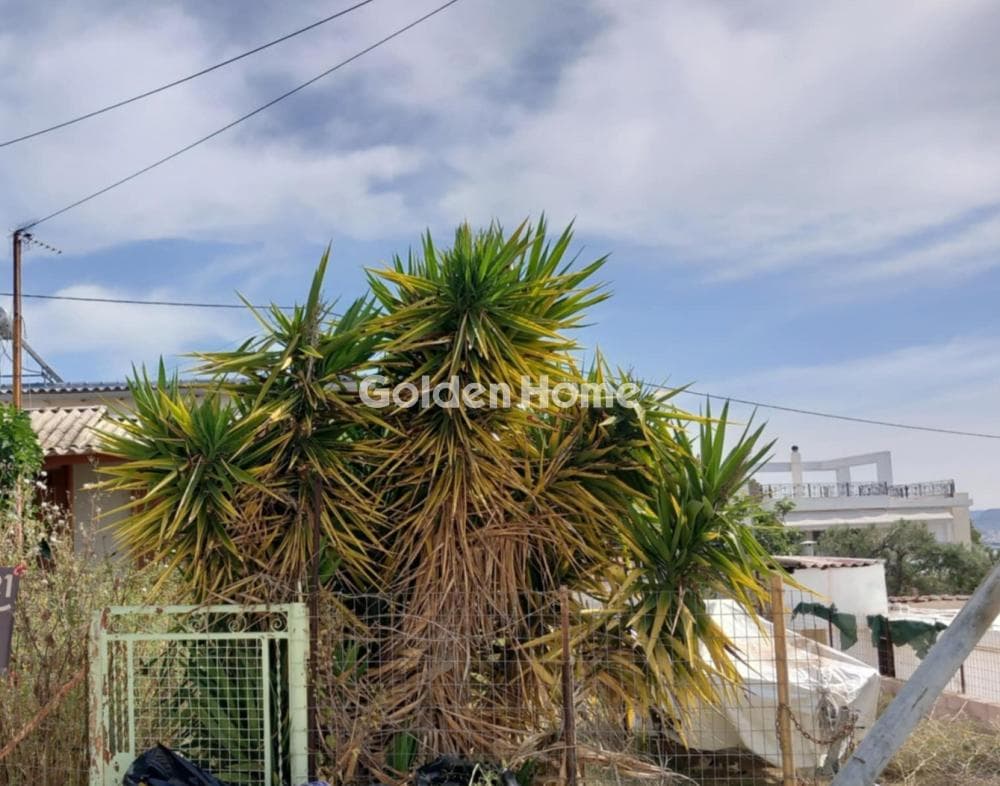 Building Plot in Resti, Salamina — Photo 2 of 2