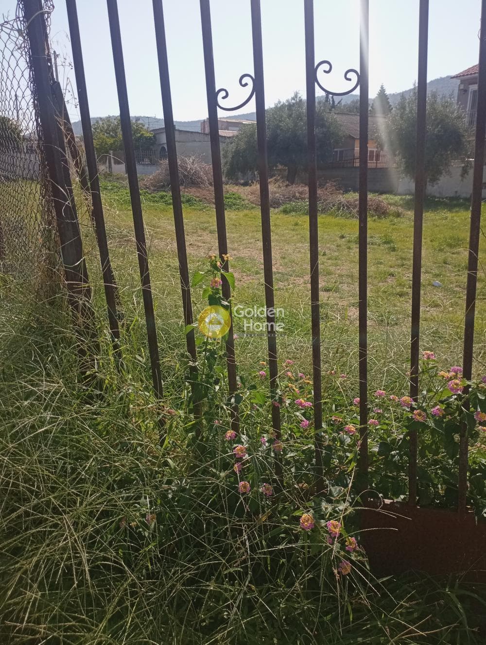 Building Plot in Drosopigi, Abelakia — Photo 3 of 6