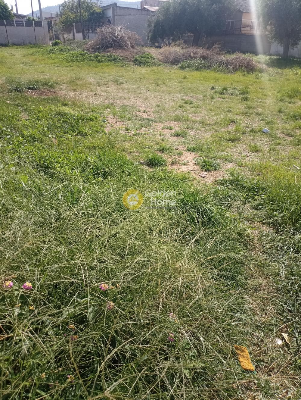 Building Plot in Drosopigi, Abelakia — Photo 2 of 6