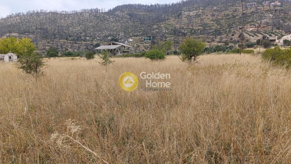 Αγροτεμάχιο στην Σταθμός Αφιδνών, Αφίδνες — Φωτογραφία 1 από 4