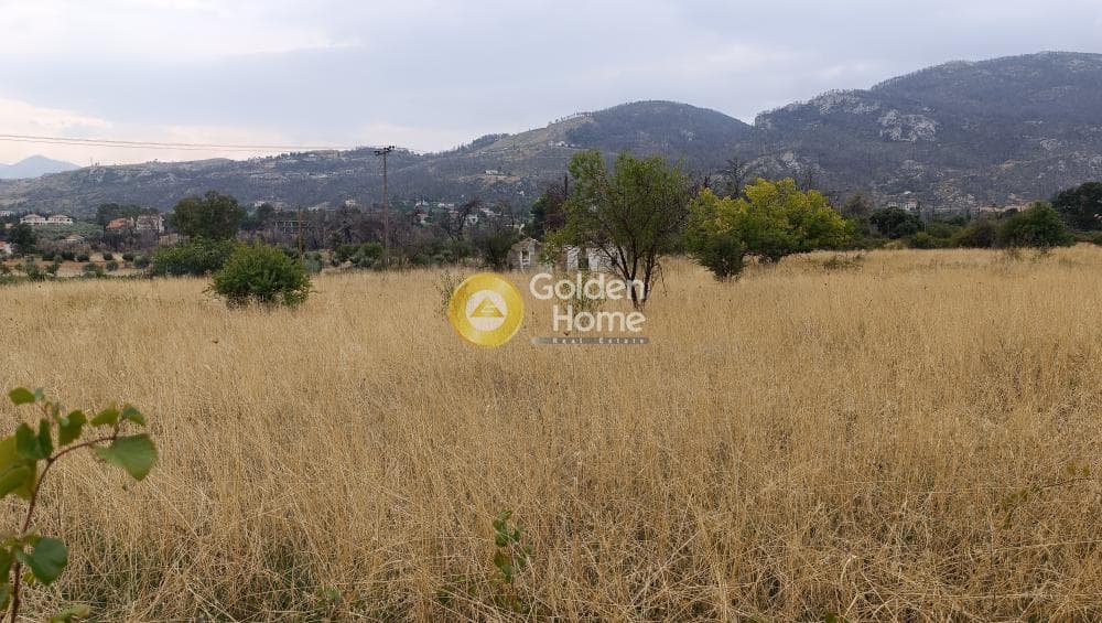 Αγροτεμάχιο στην Σταθμός Αφιδνών, Αφίδνες — Φωτογραφία 2 από 4