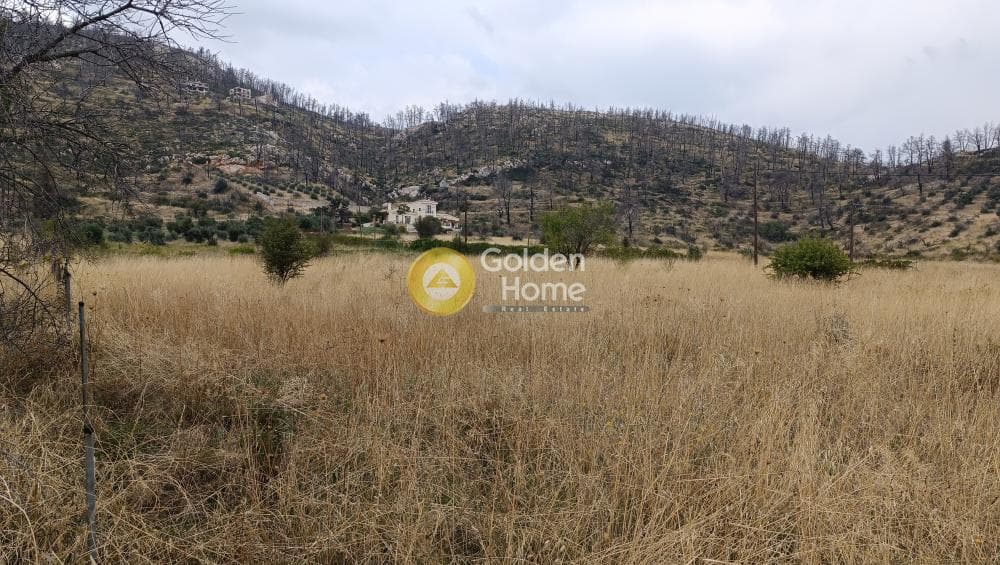 Αγροτεμάχιο στην Σταθμός Αφιδνών, Αφίδνες — Φωτογραφία 3 από 4