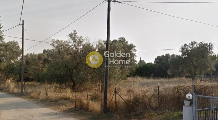 Αγροτεμάχιο στην Άγιος Παντελεήμονας, Νέα Μάκρη — Φωτογραφία 1 από 3