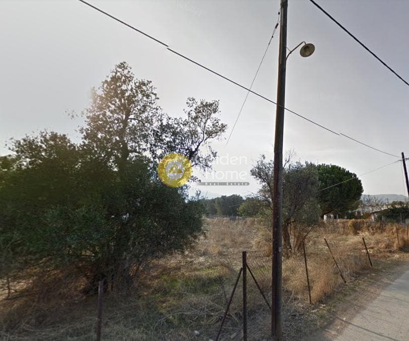 Αγροτεμάχιο στην Άγιος Παντελεήμονας, Νέα Μάκρη — Φωτογραφία 3 από 3
