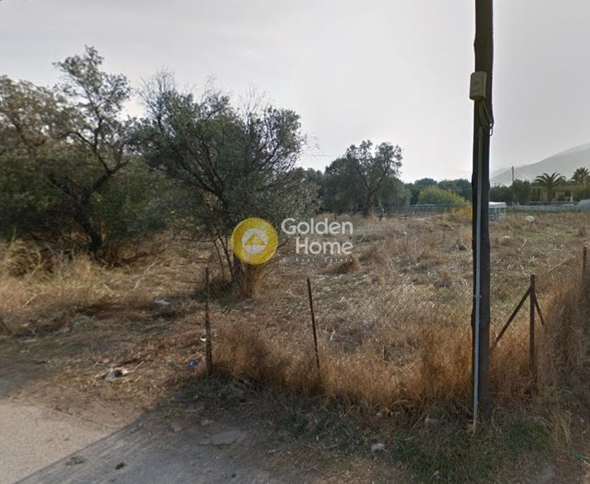 Αγροτεμάχιο στην Άγιος Παντελεήμονας, Νέα Μάκρη — Φωτογραφία 2 από 3