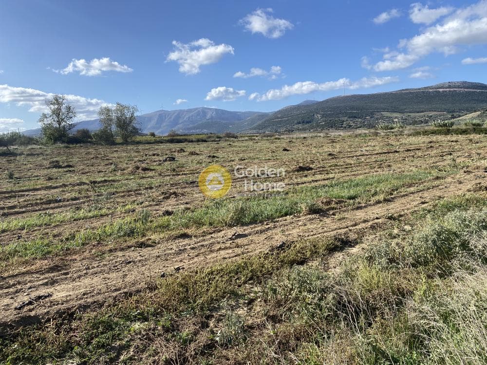 Parcel in Krieza, Distos — Photo 1 of 26