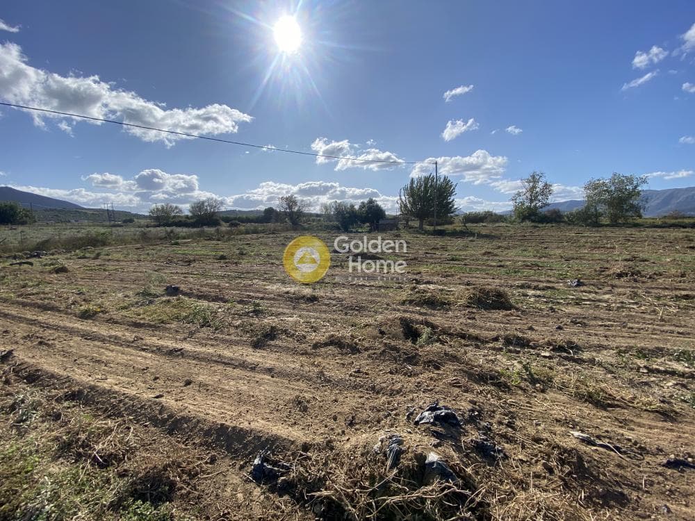 Parcel in Krieza, Distos — Photo 12 of 26